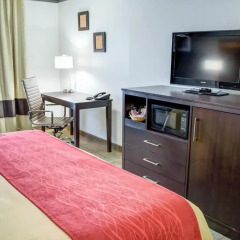 Отель Comfort Inn And Suites Near Universal Studios 2* Стандартный номер фото 2