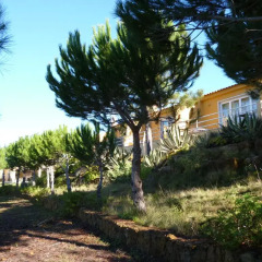 Отель Quinta Raposeiros 3* Апартаменты разные типы кроватей фото 7