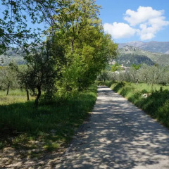 Апартаменты Apartment Welcome to Campolongo Сперлонга фото 14