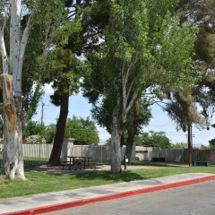 Отель Las Vegas Camping Resort Cabin 2 США, Лас-Вегас - отзывы, цены и фото номеров - забронировать отель Las Vegas Camping Resort Cabin 2 онлайн фото 4
