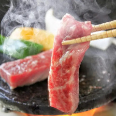 Отель Nasushiobara Bettei Насусиобара гостиничный бар