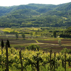 Отель Fattoria Le Vegre Италия, Лимена - отзывы, цены и фото номеров - забронировать отель Fattoria Le Vegre онлайн