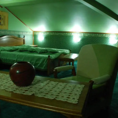 Hotel Restaurant Odeon 3* Люкс с различными типами кроватей фото 3