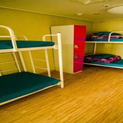 Kimchee Sinchon Guesthouse - Hostel Кровать в женском общем номере с двухъярусной кроватью