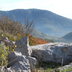 Отель B&B I 4 Sentieri Италия, Кастель-Сан-Пьетро-Романо - отзывы, цены и фото номеров - забронировать отель B&B I 4 Sentieri онлайн фото 4