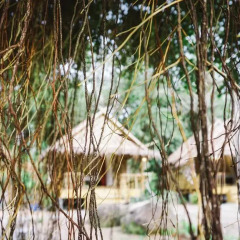 Отель Yanui Beach Hideaway 2* Стандартный номер с различными типами кроватей фото 4