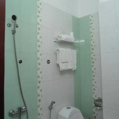 Green Valley Hotel 2* Стандартный номер фото 7