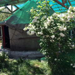 Отель Turkestan Yurt Camp Кыргызстан, Каракол - отзывы, цены и фото номеров - забронировать отель Turkestan Yurt Camp онлайн фото 7