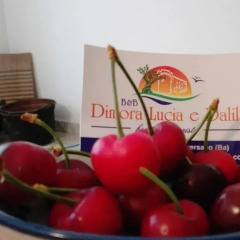 Отель B&B Dimora Lucia e Dalila Конверсано детские мероприятия