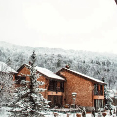 Отель Holiday Home Teghenis Армения, Цахкадзор - отзывы, цены и фото номеров - забронировать отель Holiday Home Teghenis онлайн