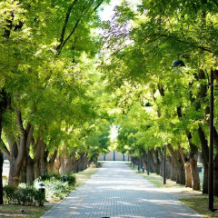 Гостиница Zion фото 2