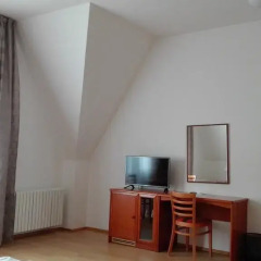 Hotel Jana / Pension Domov Mladeze Номер Комфорт с различными типами кроватей