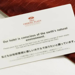 Отель ANA Crowne Plaza Narita 4* Стандартный номер с различными типами кроватей фото 7
