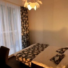 Vivulskio Hotel 3* Номер категории Эконом с различными типами кроватей фото 5