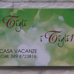 Отель I Tigli Эмполи спортивное сооружение
