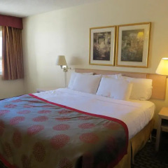 Отель Ramada Limited Calgary Northwest Канада, Калгари - отзывы, цены и фото номеров - забронировать отель Ramada Limited Calgary Northwest онлайн комната для гостей фото 4