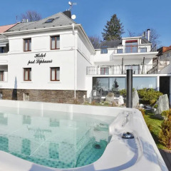 Wellness&spa Boutique Hotel Pod Lipkami Прага бассейн фото 2