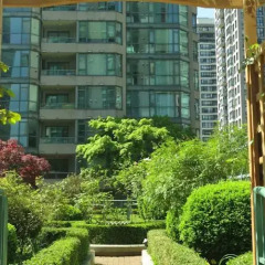 Отель Rosedale On Robson Suite Hotel Канада, Ванкувер - отзывы, цены и фото номеров - забронировать отель Rosedale On Robson Suite Hotel онлайн фото 7