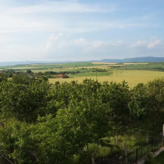 Отель Aleksandrovo Holiday Home Болгария, Равда - отзывы, цены и фото номеров - забронировать отель Aleksandrovo Holiday Home онлайн спортивное сооружение