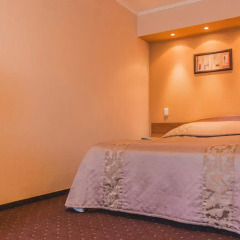 Гостиница Прикамье 3* Номер Премиум разные типы кроватей фото 6