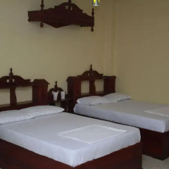 Alsevana Ayurvedic Tourist Hotel & Restaurant Стандартный номер с 2 отдельными кроватями фото 6