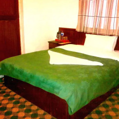 Отель Green Hotel Непал, Катманду - отзывы, цены и фото номеров - забронировать отель Green Hotel онлайн комната для гостей фото 4