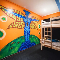 Art Hostel Contrast Кровать в общем номере с двухъярусной кроватью фото 4