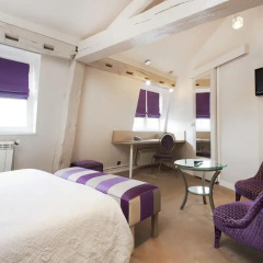 Odéon Hotel 3* Номер Делюкс с различными типами кроватей фото 13