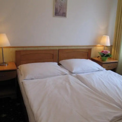 Hotel Jana / Pension Domov Mladeze Стандартный номер с двуспальной кроватью (общая ванная комната)
