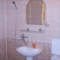 Гостиница Ковчег фото 5