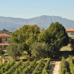 Отель Casa de Sao Miguel Douro Португалия, Армамар - отзывы, цены и фото номеров - забронировать отель Casa de Sao Miguel Douro онлайн фото 6