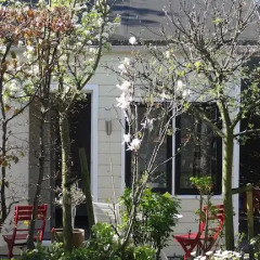 Отель Bed&Breakfast de Noordeling Нидерланды, Амстердам - отзывы, цены и фото номеров - забронировать отель Bed&Breakfast de Noordeling онлайн фото 16