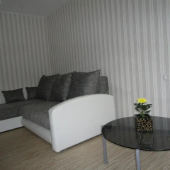 Отель Sandik Apartament Апартаменты разные типы кроватей фото 3