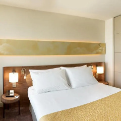 Radisson Blu Hotel Lyon 4* Стандартный номер с различными типами кроватей фото 6