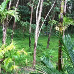 Отель Krabi Klong Moung Bay View