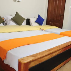 Traveller's Home Hotel 3* Номер Делюкс с различными типами кроватей фото 20