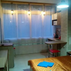 Гостиница Svetlana Apartment в Сочи отзывы, цены и фото номеров - забронировать гостиницу Svetlana Apartment онлайн фитнесс-зал
