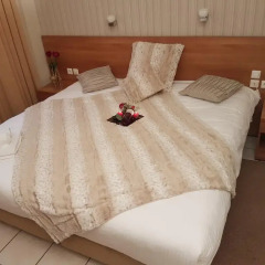 Hotel Ideal комната для гостей фото 5