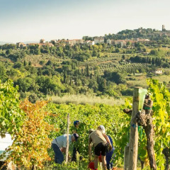 Отель Agriturismo Il Casolare di Bucciano Farmhouse Италия, Сан-Джиминьяно - отзывы, цены и фото номеров - забронировать отель Agriturismo Il Casolare di Bucciano Farmhouse онлайн приотельная территория фото 2