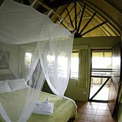 Отель Palmlea Farms Lodge & Bures комната для гостей фото 2