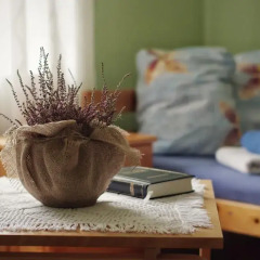 Отель Skangaļu muiža с домашними животными
