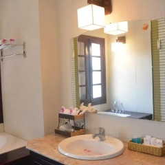 Отель Botanic Garden Villas 3* Люкс повышенной комфортности с различными типами кроватей фото 4