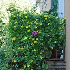 Отель & Villa Auersperg Австрия, Зальцбург - отзывы, цены и фото номеров - забронировать отель & Villa Auersperg онлайн фото 9