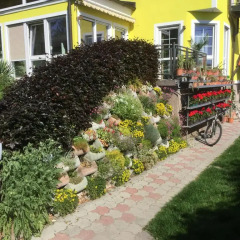 Отель AJO Garden Австрия, Вена - отзывы, цены и фото номеров - забронировать отель AJO Garden онлайн фото 3