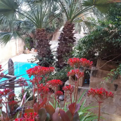 Отель Gozo Break Farmhouses Мальта, Керчем - отзывы, цены и фото номеров - забронировать отель Gozo Break Farmhouses онлайн фото 2