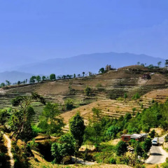 Отель Mount Paradise Непал, Нагаркот - отзывы, цены и фото номеров - забронировать отель Mount Paradise онлайн фото 5