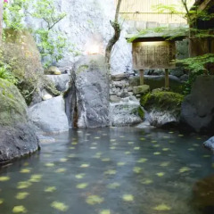 Отель Beppu Showaen Беппу бассейн фото 3