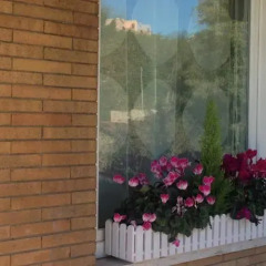 Отель Rome & Suites фото 2