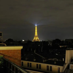 Отель Hôtel Pont Royal фото 8