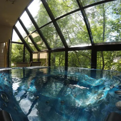 Отель Sunshine Chalet Польша, Закопане - отзывы, цены и фото номеров - забронировать отель Sunshine Chalet онлайн бассейн фото 3